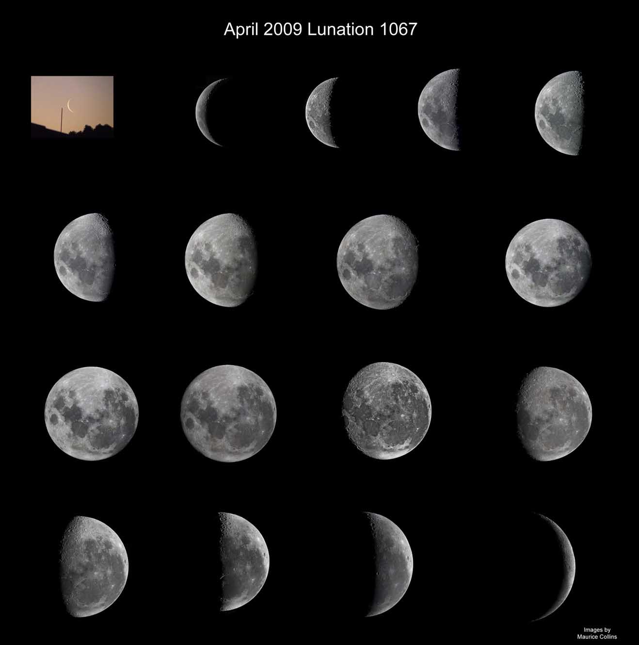 Royal Astronomical Society of New Zealand Lunar Phases