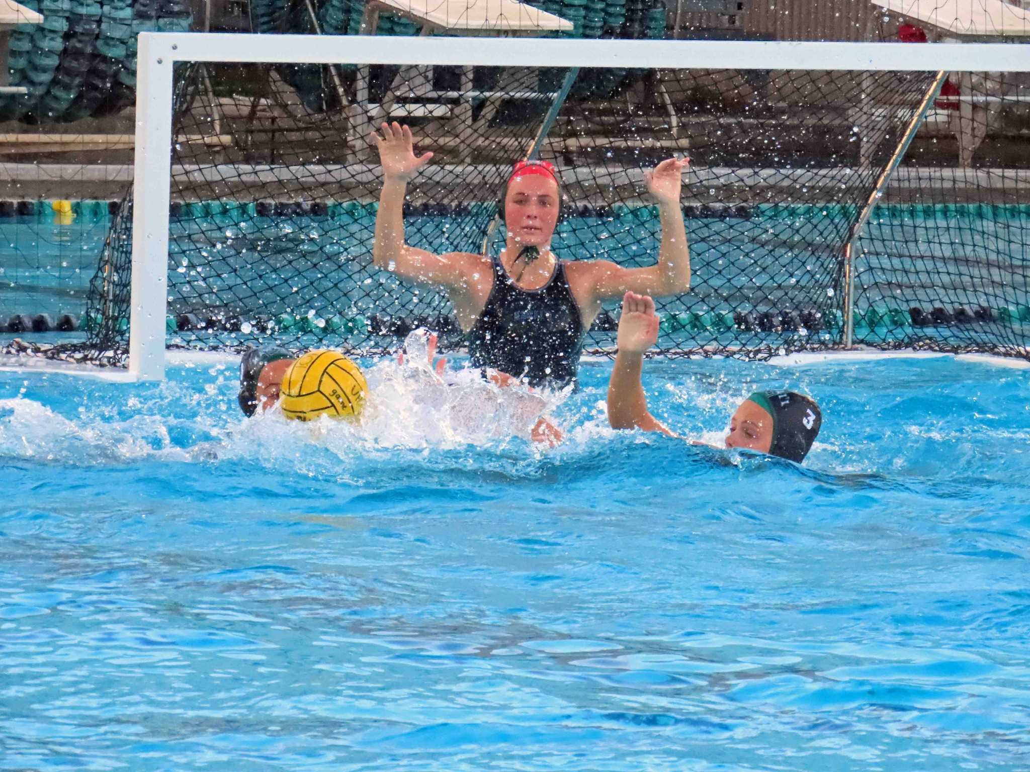North Harbour Water Polo Overseas Player Updates