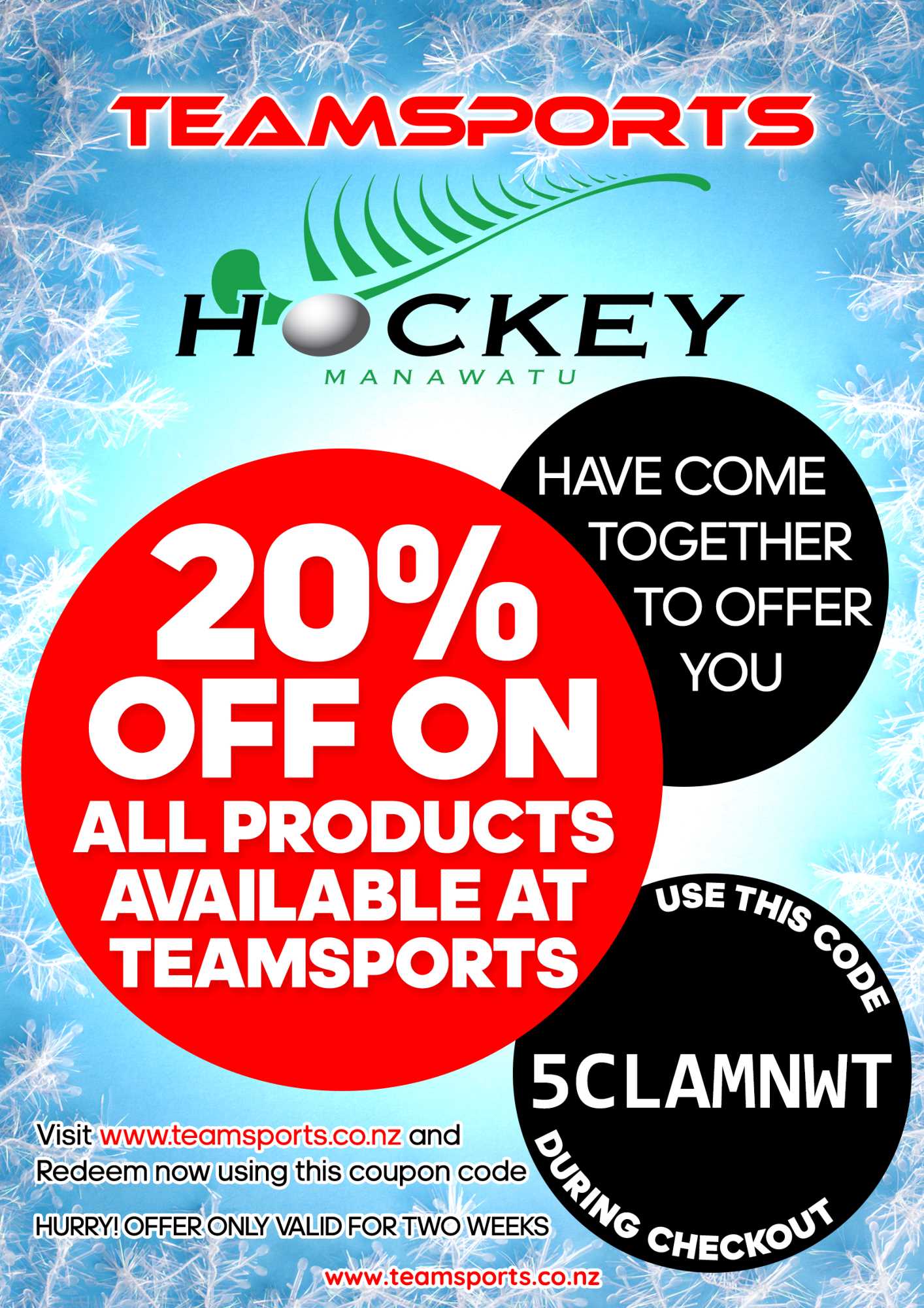 TeamSports Sale on Now Great Option for Xmas Gifts