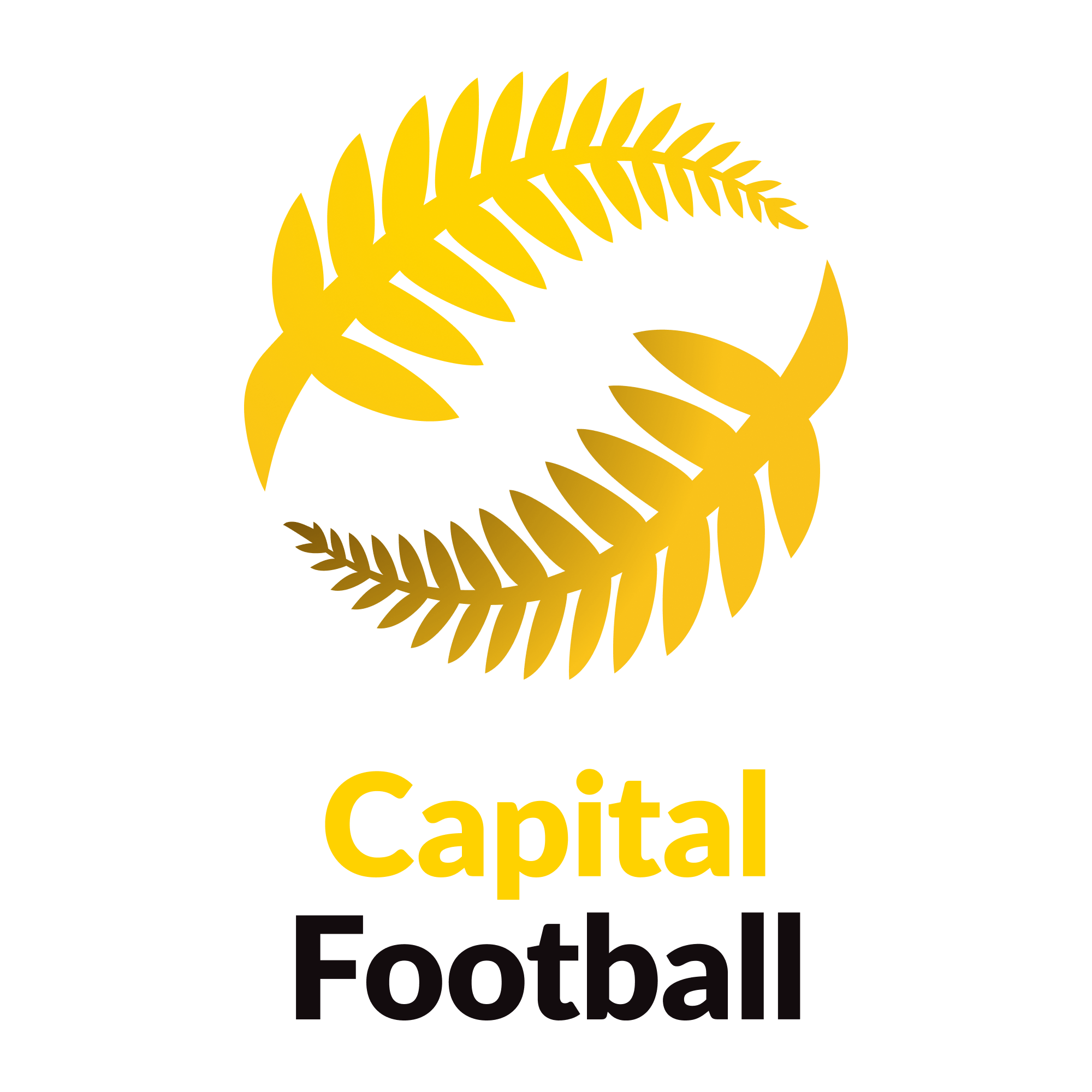 North Wellington AFC vs Miramar Rangers live score, H2H and lineups