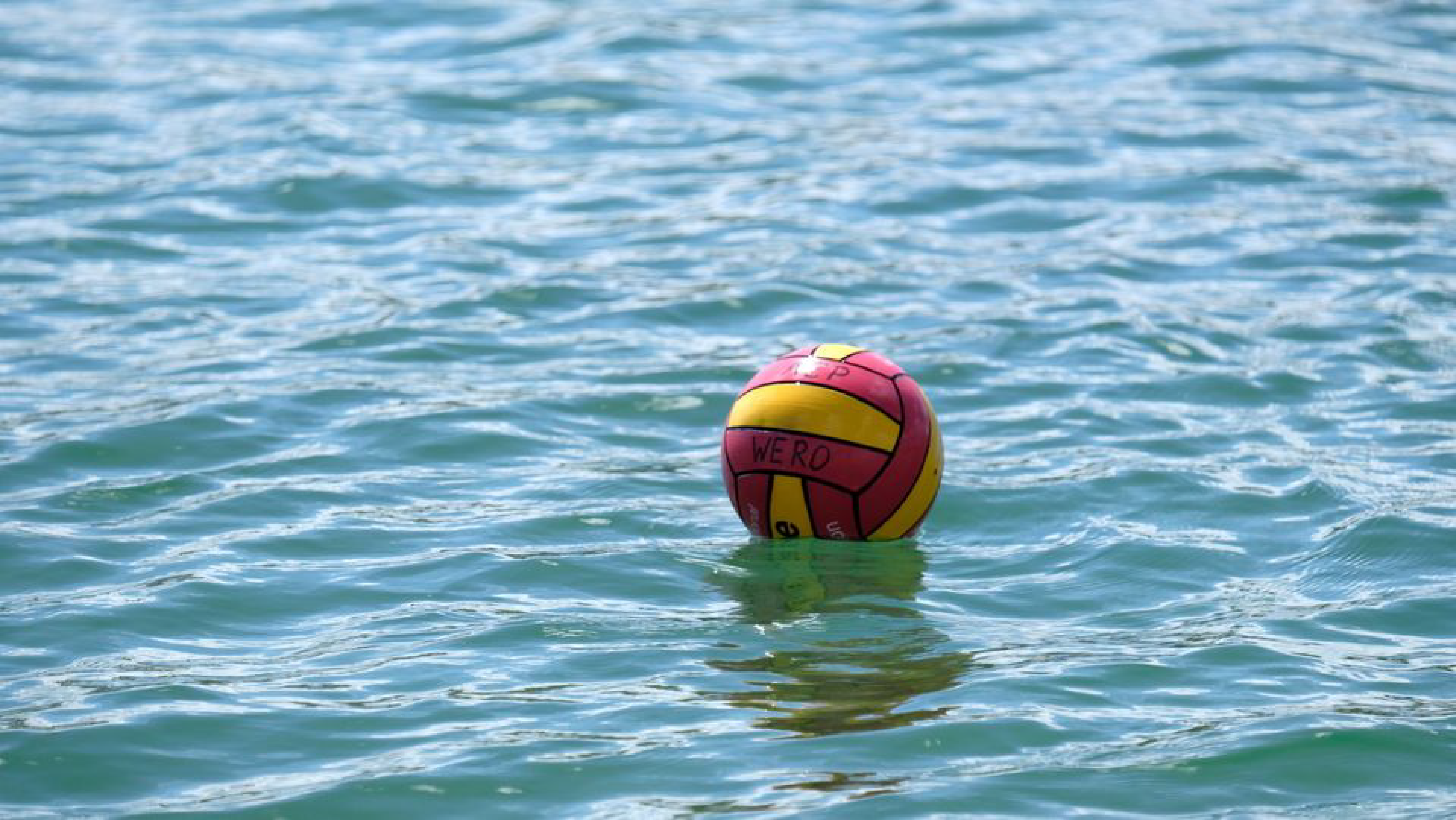 Auckland Canoe Polo Home