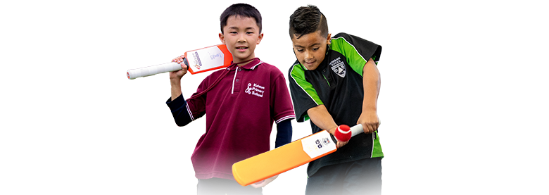 Auckland Cricket Association - Cricket In Schools