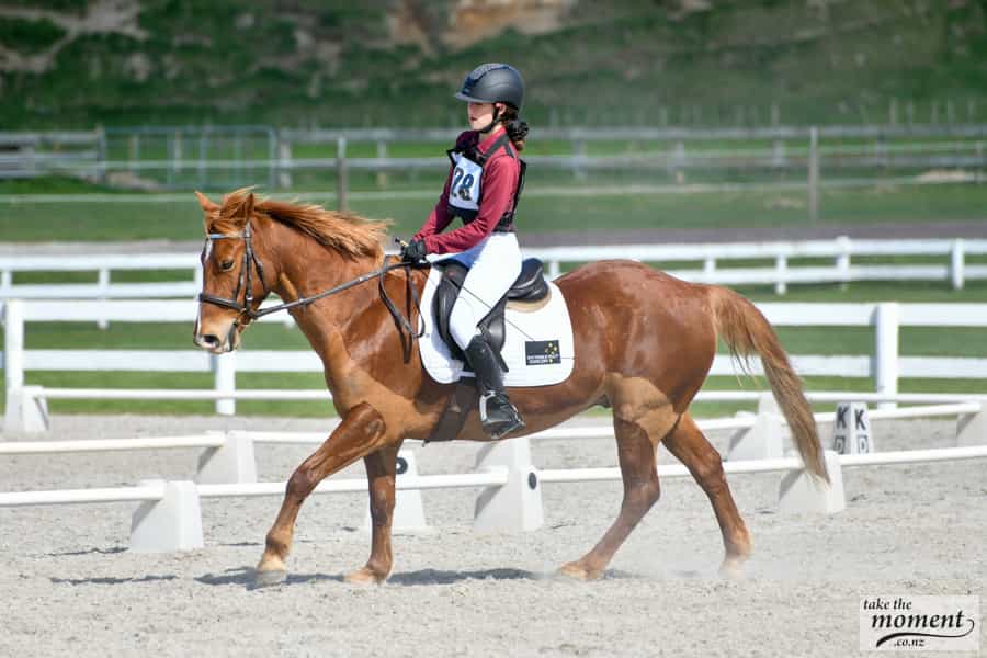 Woodford House Equestrian