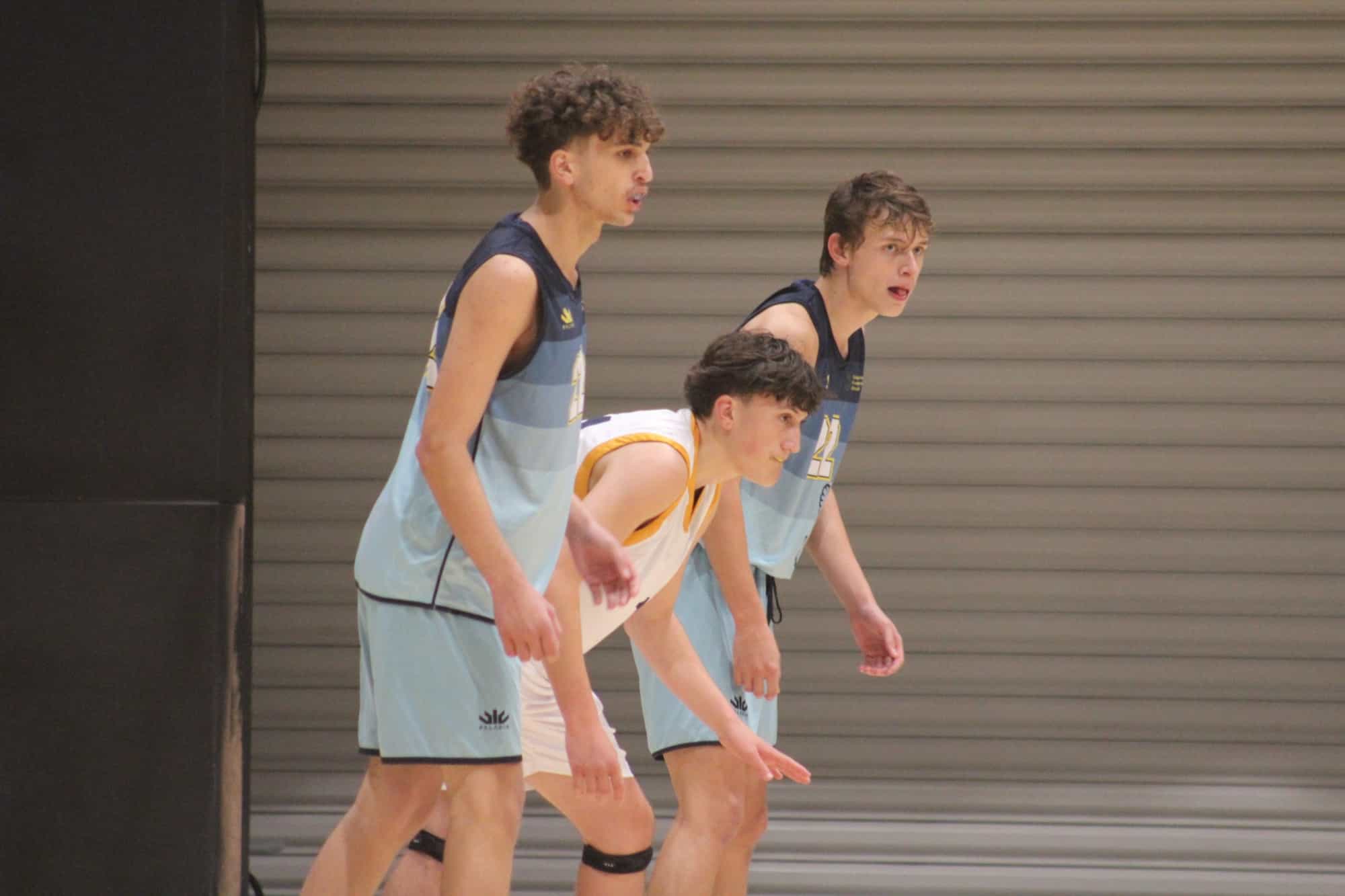 Basketball Newsletter Vol. 7