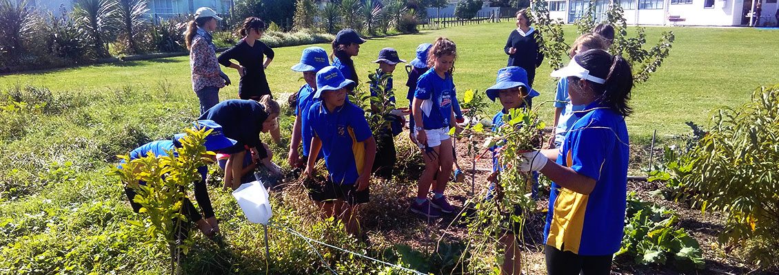 Marewa School - Home