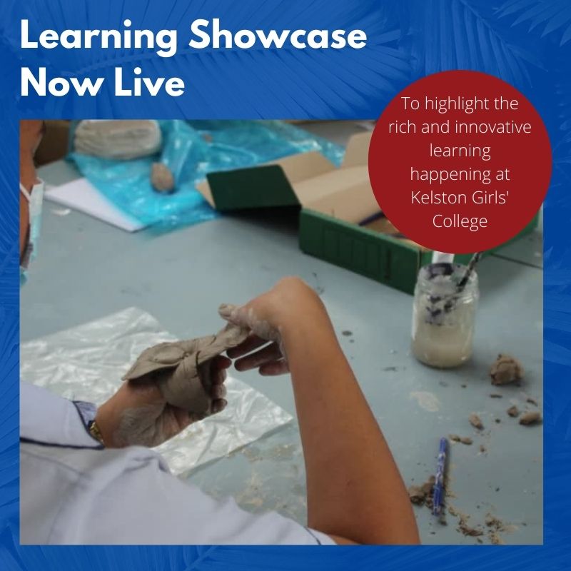 Learning Showcase now live
