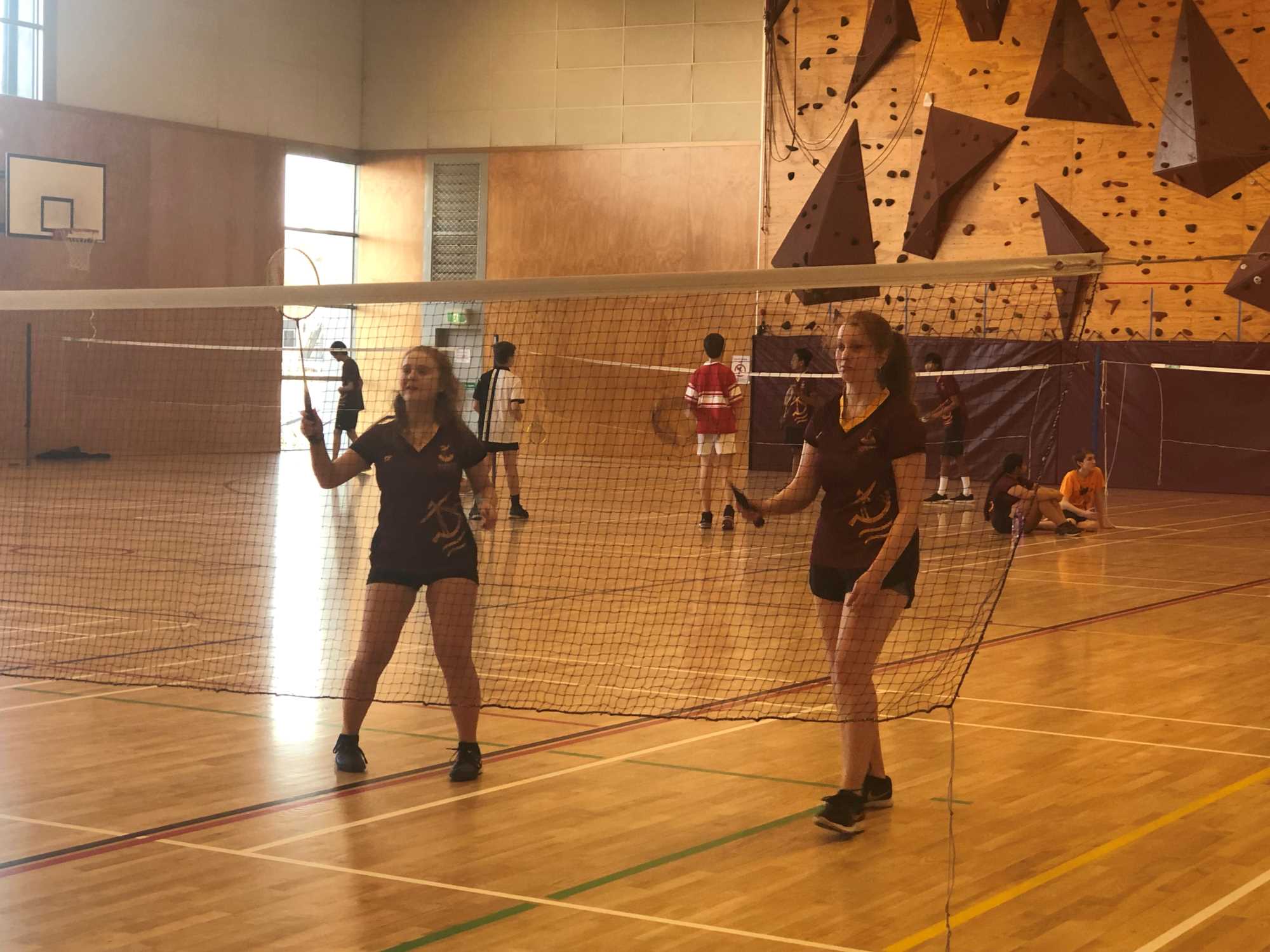 Badminton Non competitive Home