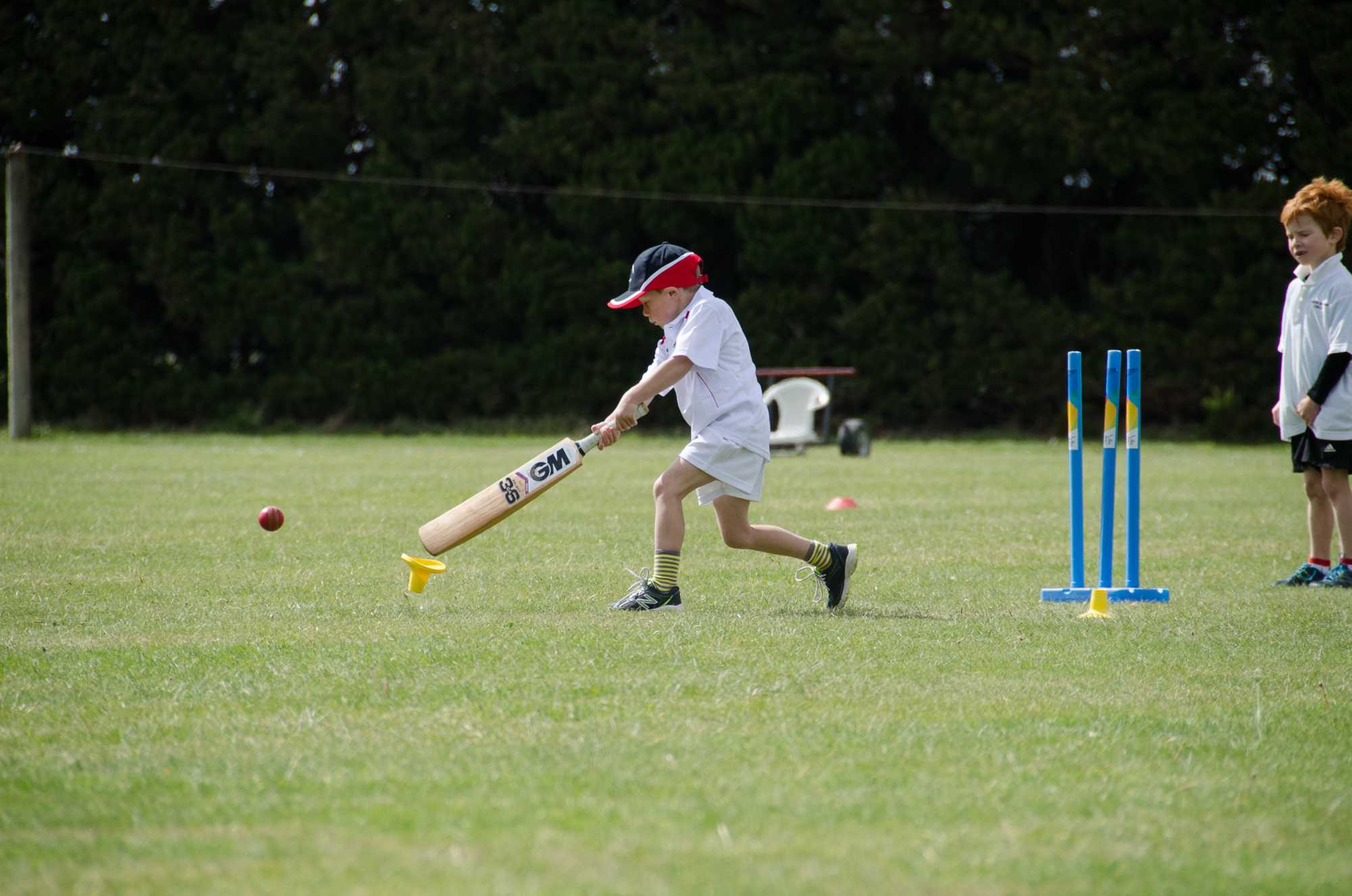 Leeston Southbridge Cricket Club Tab 1