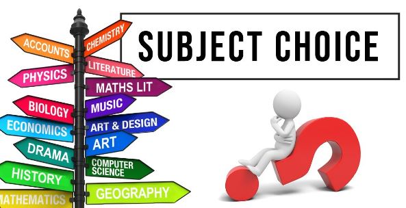 Choosing School Subjects