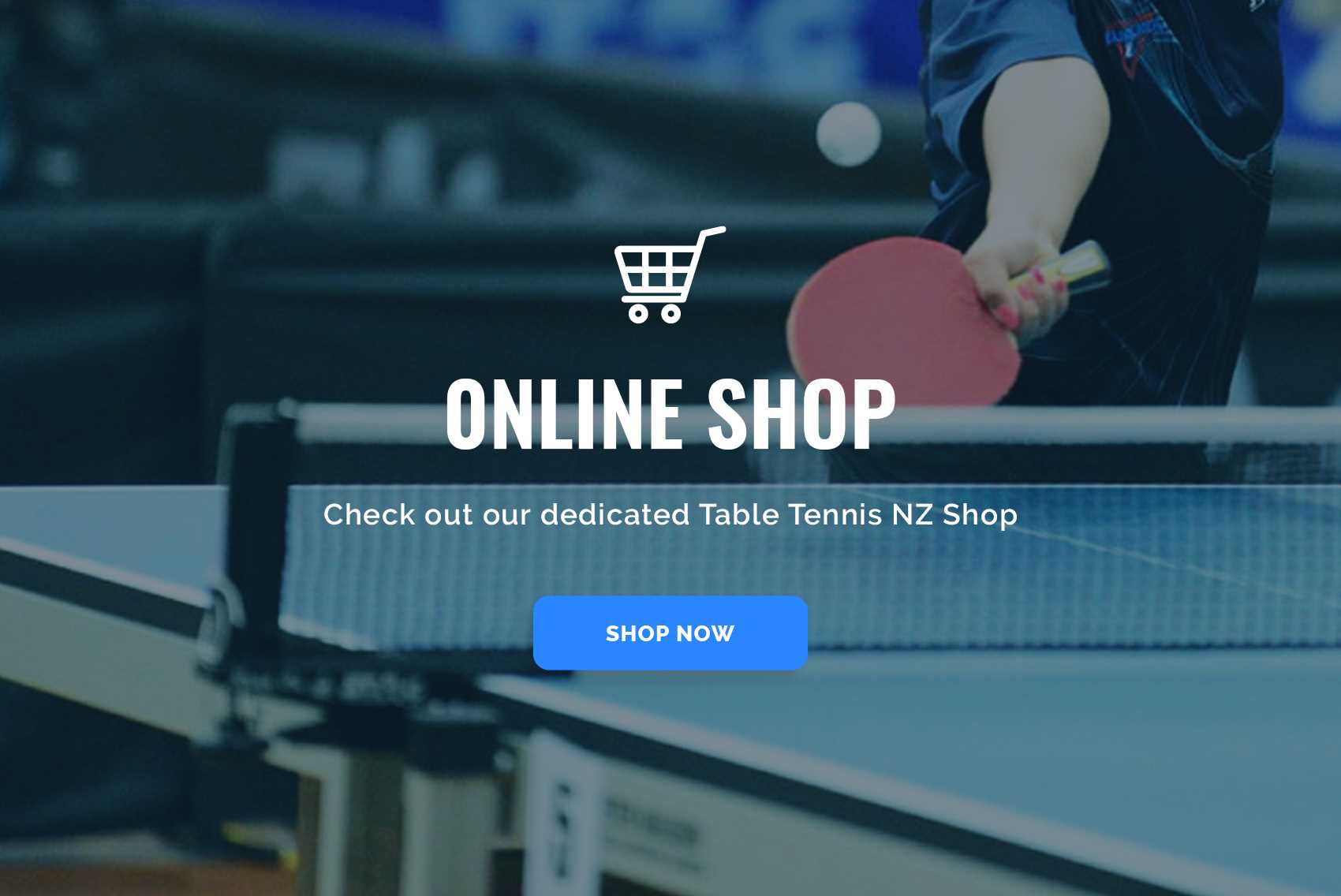 Table Tennis New Zealand Inc.
