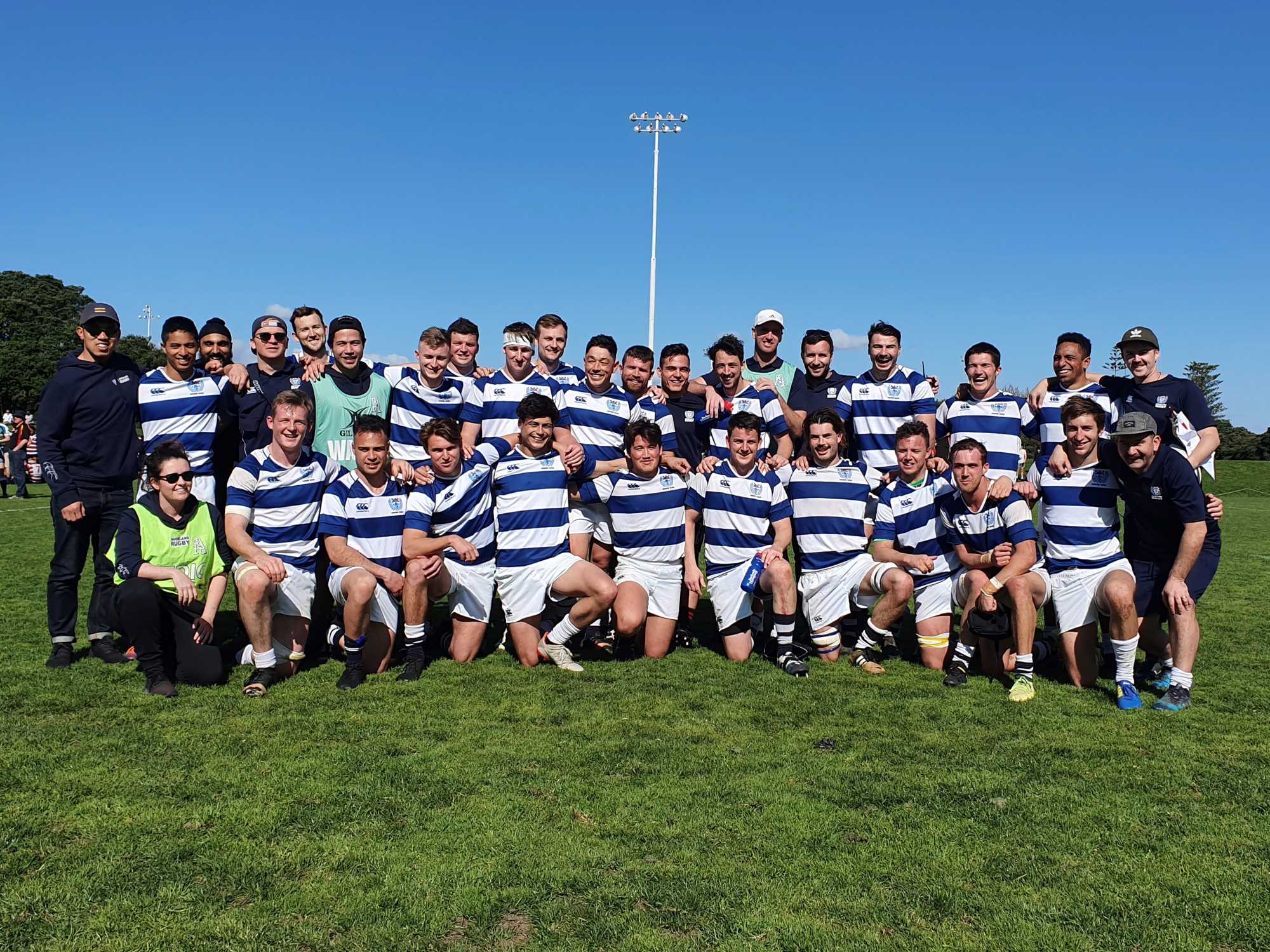 auckland rugby