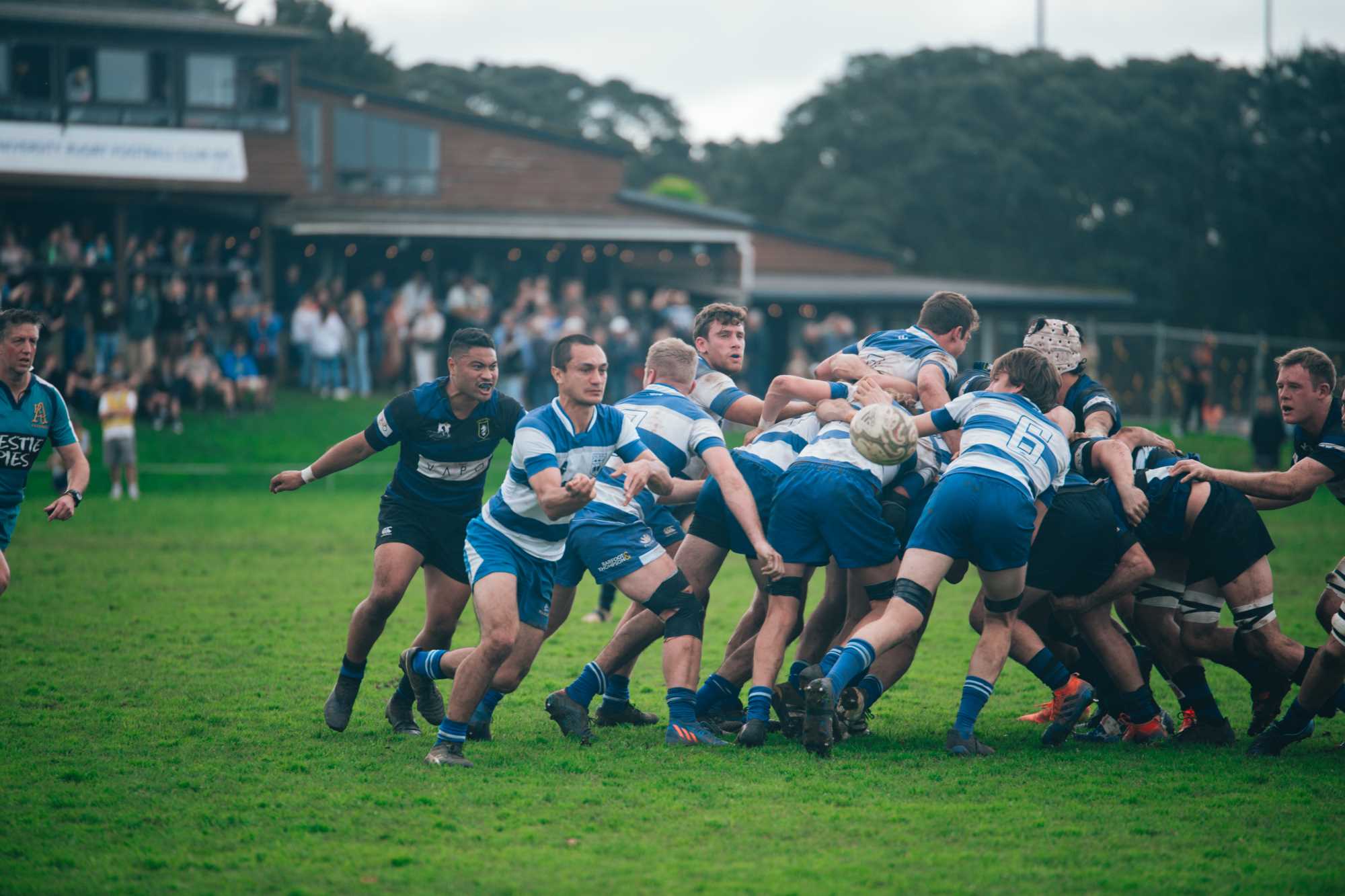 Auckland Rugby Celebrates Growth In The Community Game