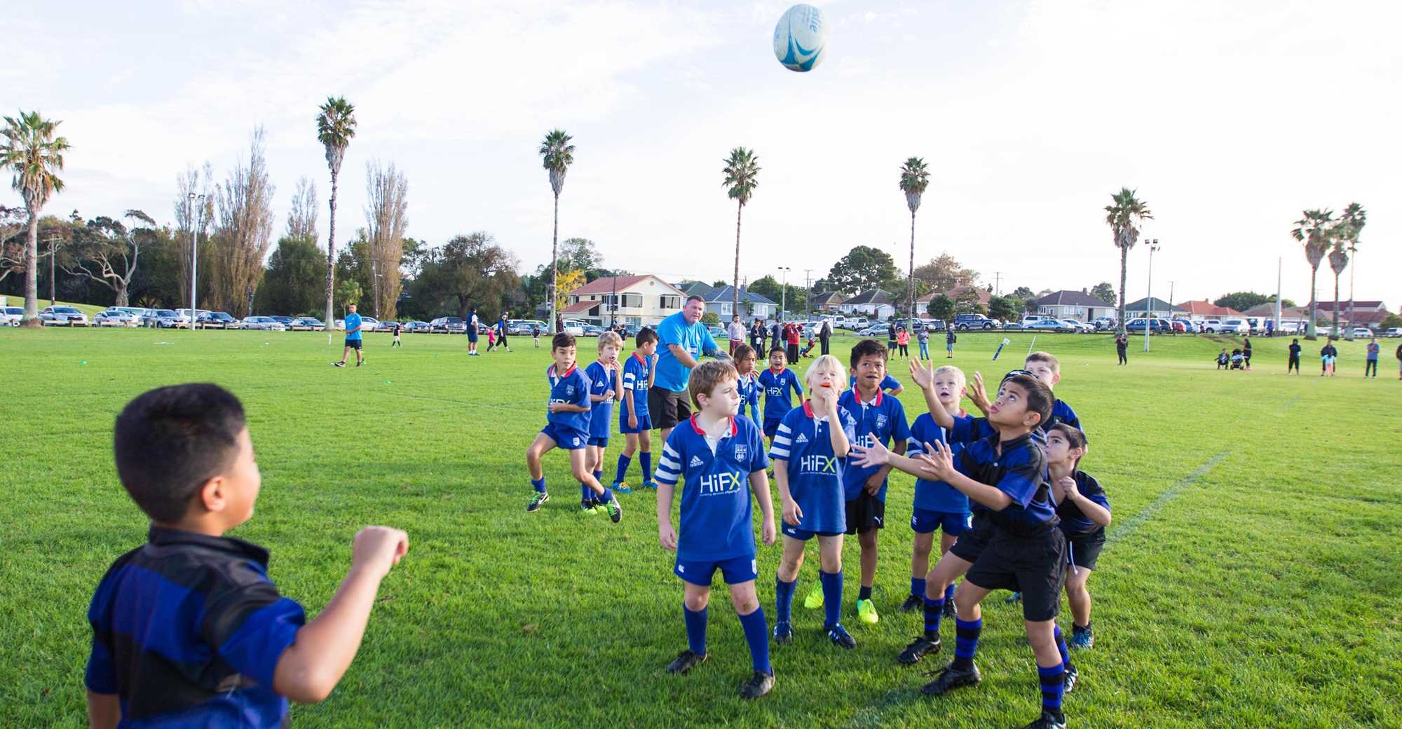 auckland rugby