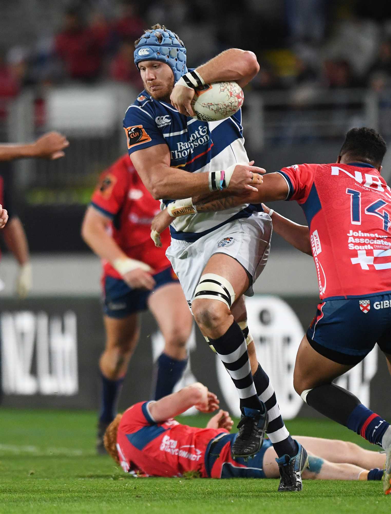 Auckland looking to take the bull by the horns