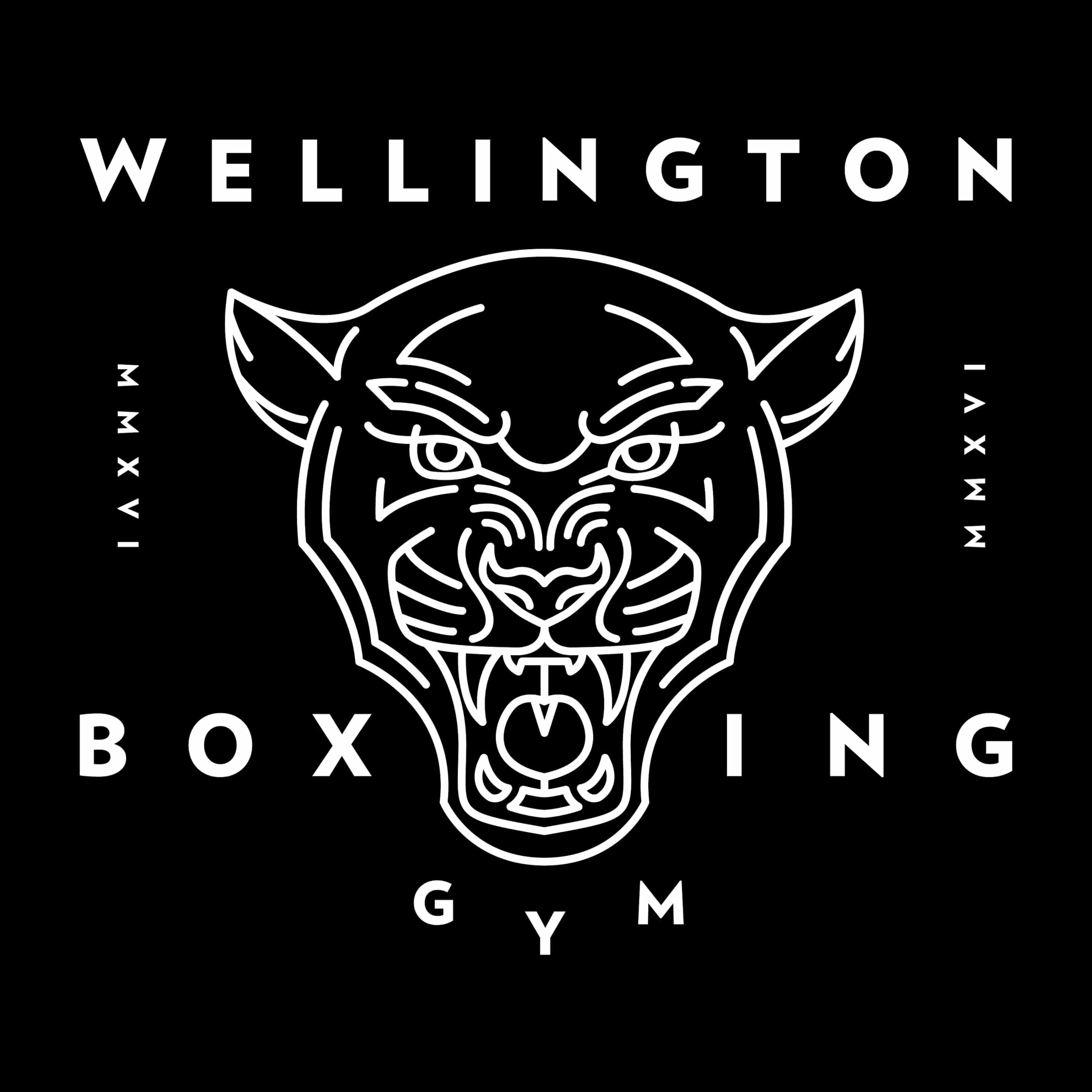 Boxing New Zealand Wellington Hutt Valley Assn Affiliated Clubs
