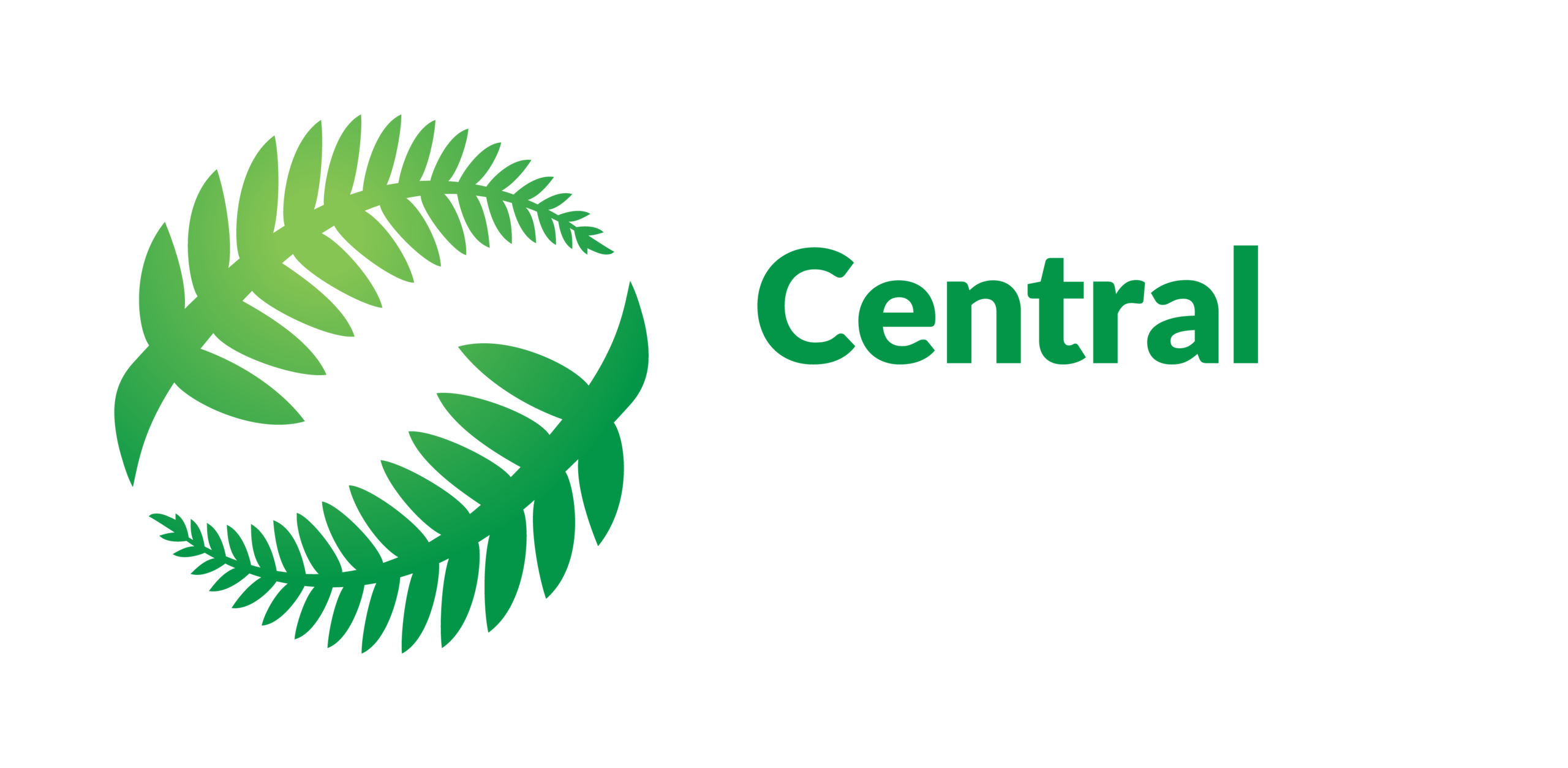 nz-football-information-for-clubs