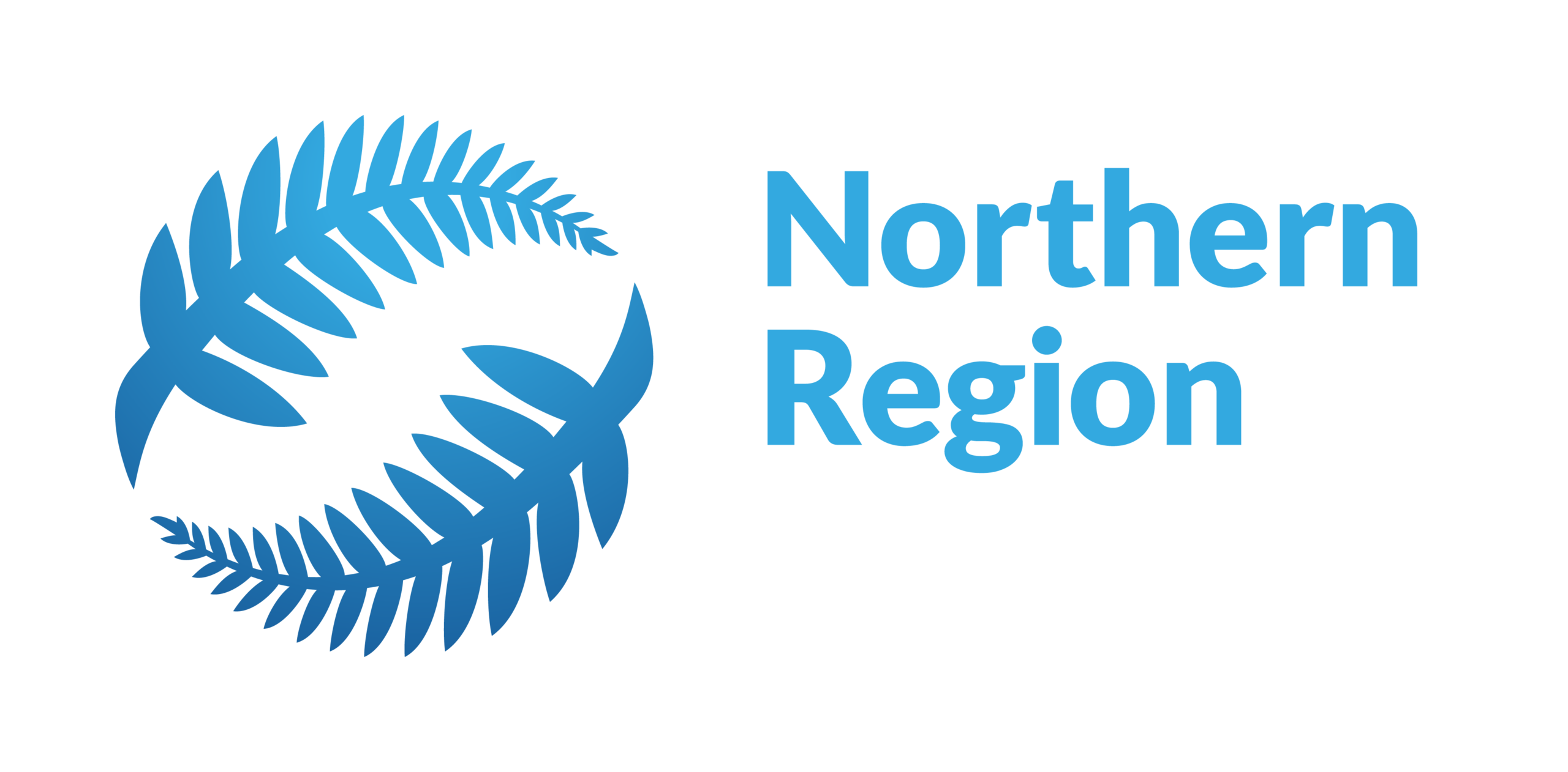 nz-football-information-for-clubs