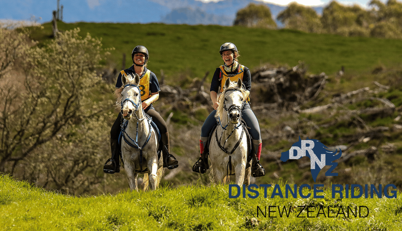 Distance Riding New Zealand - What is Distance Riding