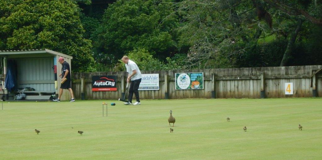 New Plymouth Croquet Club Home