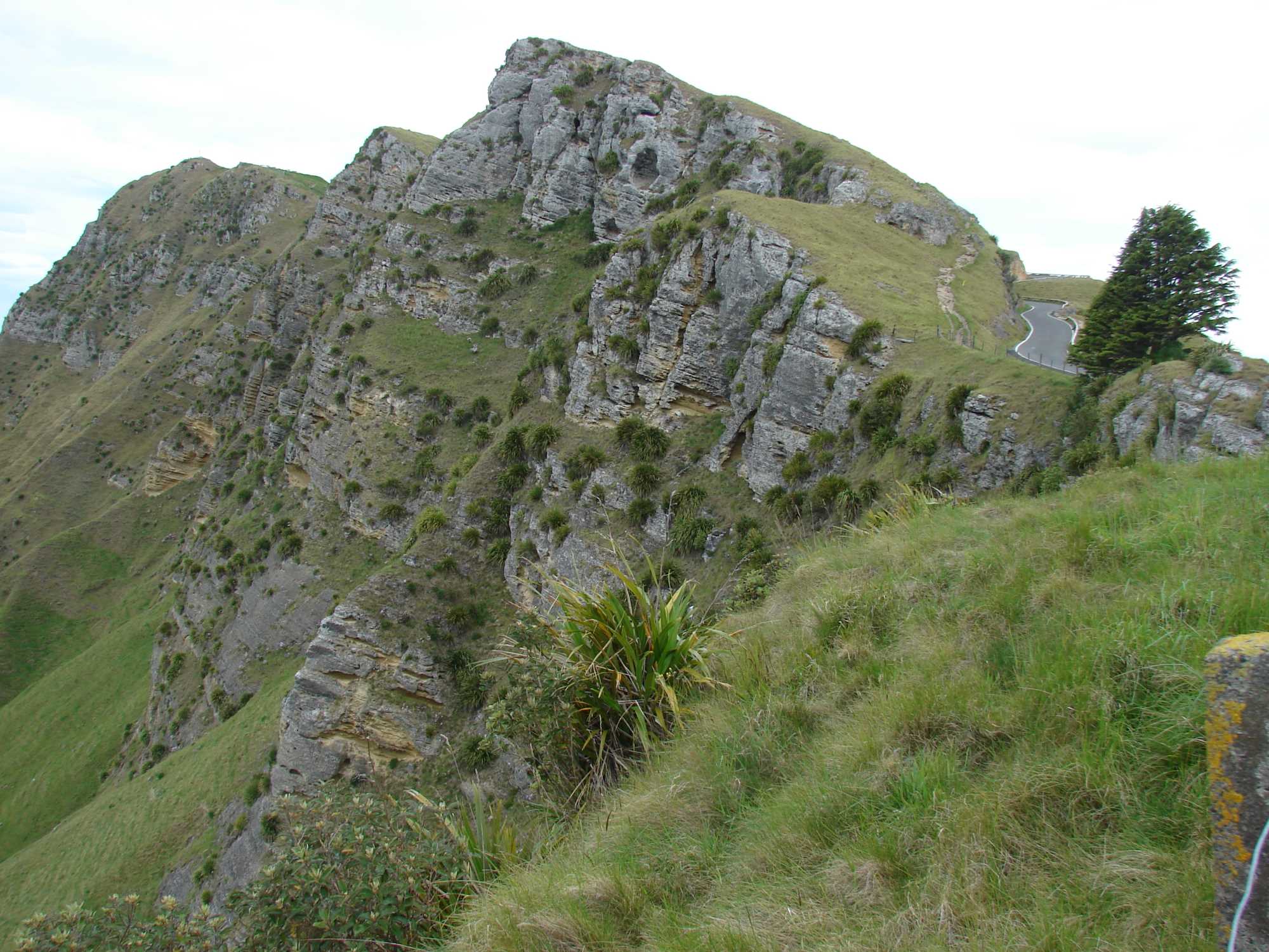 Gisborne Canoe And Tramping Club Gallery