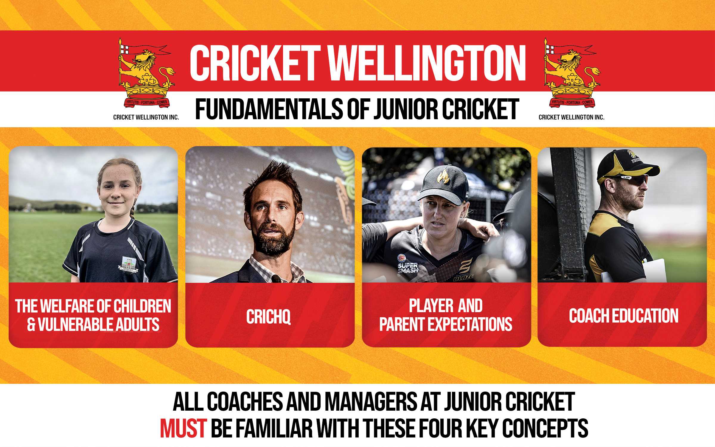 Cricket Wellington Junior Cricket Fundamentals