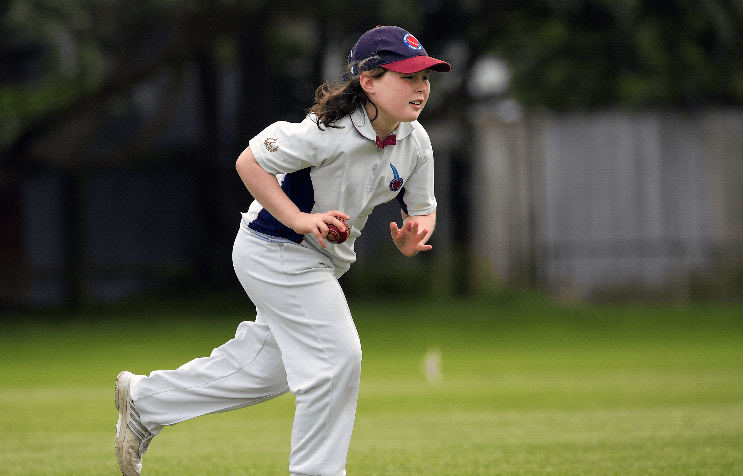 Cricket Wellington - Wellington Cricket Trust