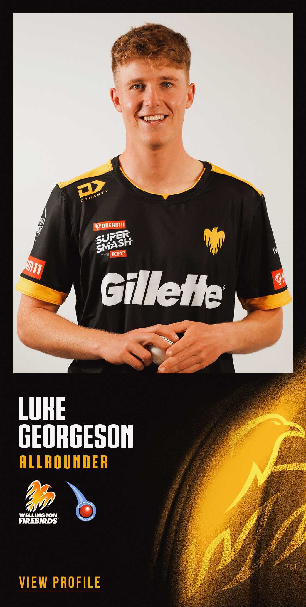 Cricket Wellington Players