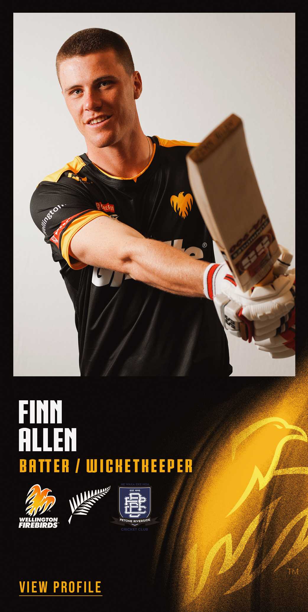 Cricket Wellington Players