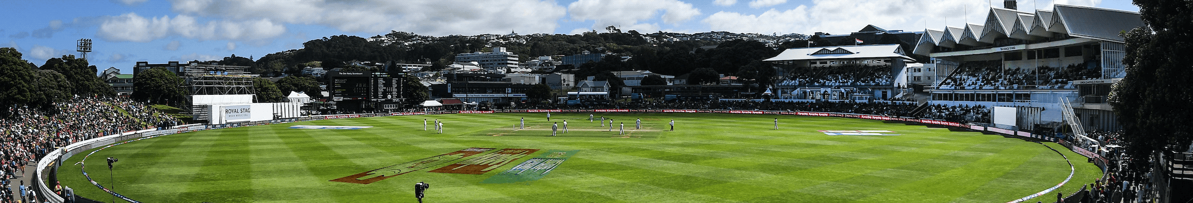 Cricket Wellington - NEWS