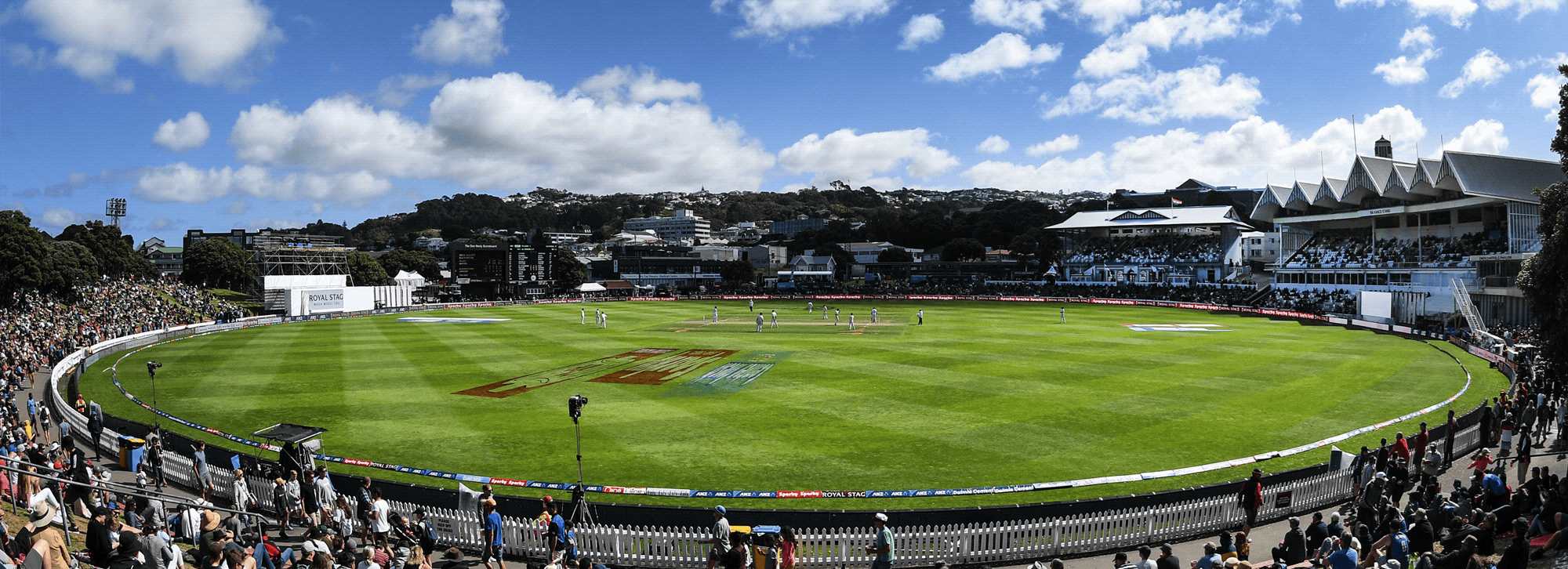 Cricket Wellington - Special General Meeting