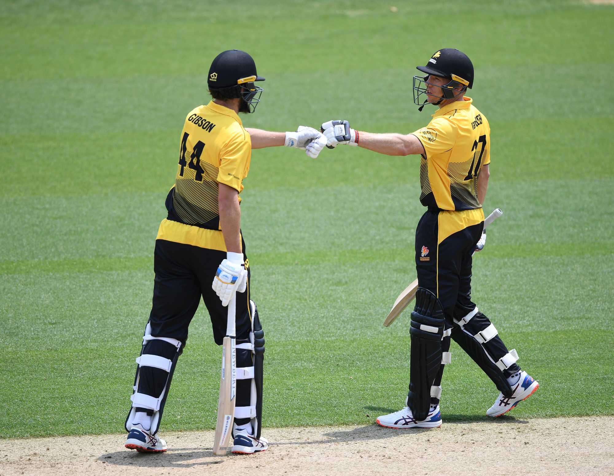 Ford Trophy, Basin Reserve, Wellington, Firebirds, Northern