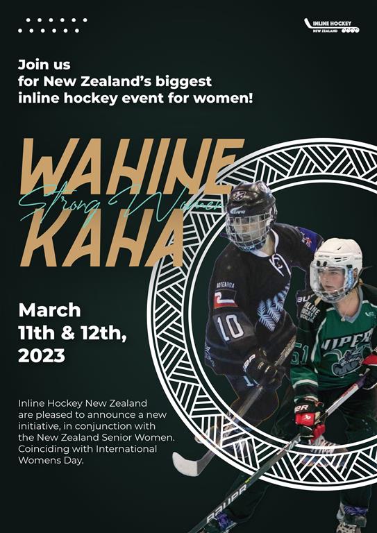 Hamilton Inline Hockey Club eNewsletter December 2022