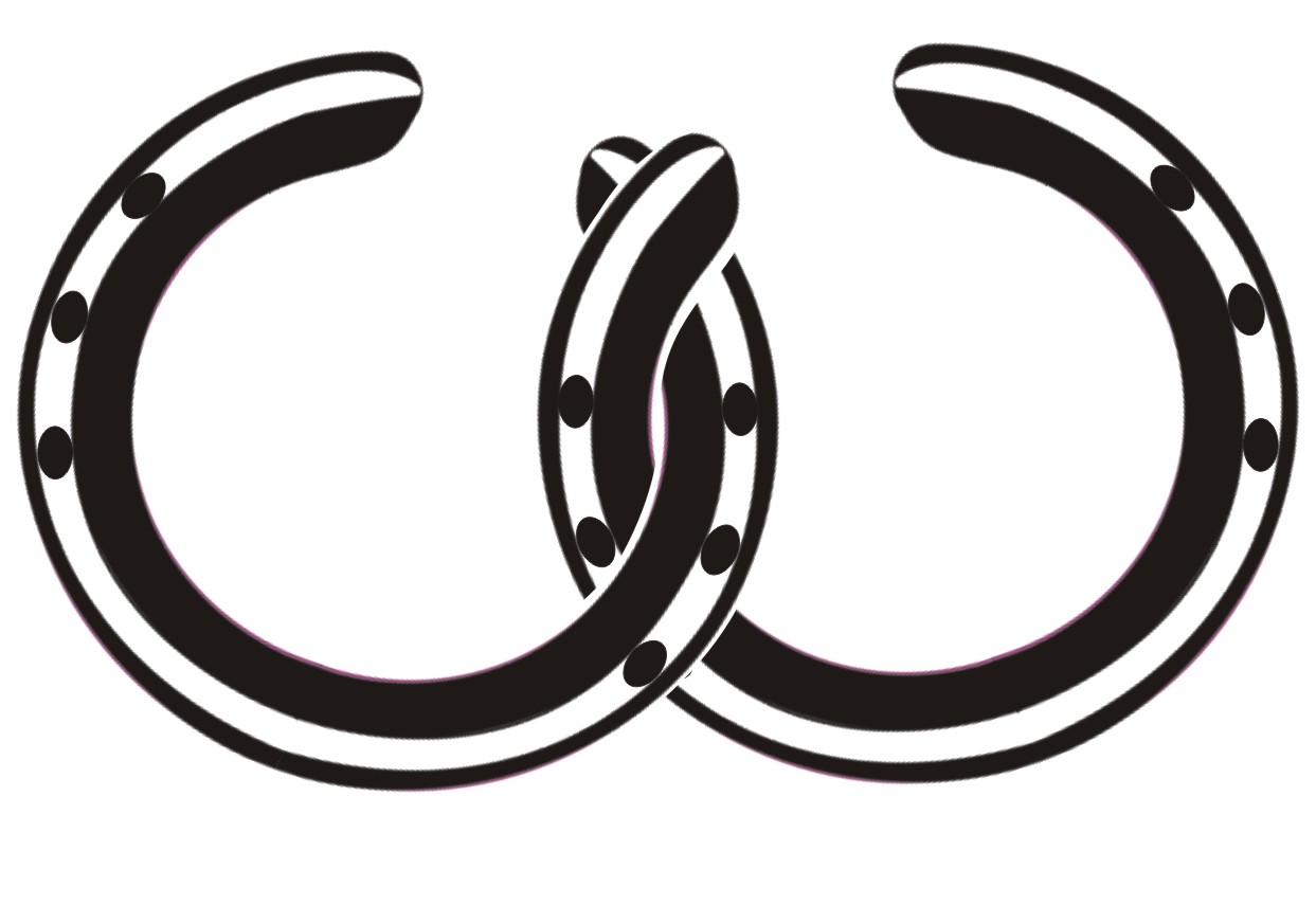 Waimauku Adult Ride Home waimauku-adult-ride-home