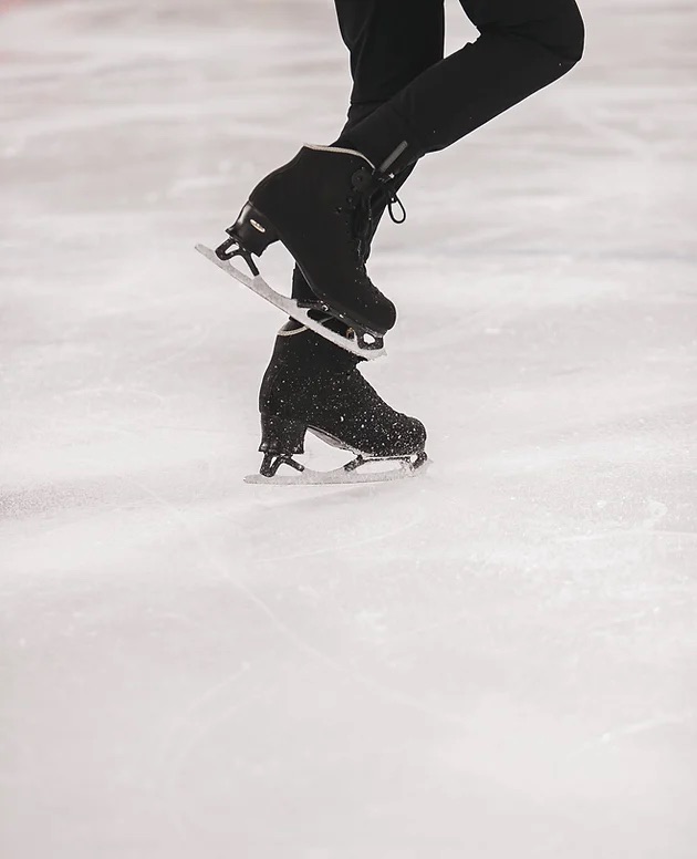 Dunedin Ice Skating Club SKATING CLASSES