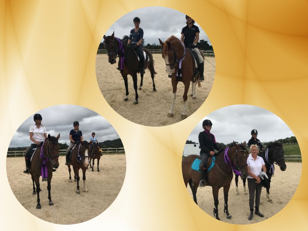 Waimauku Pony Club Results