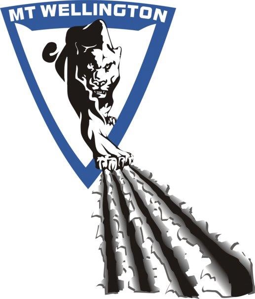 Mt Wellington Panthers logo