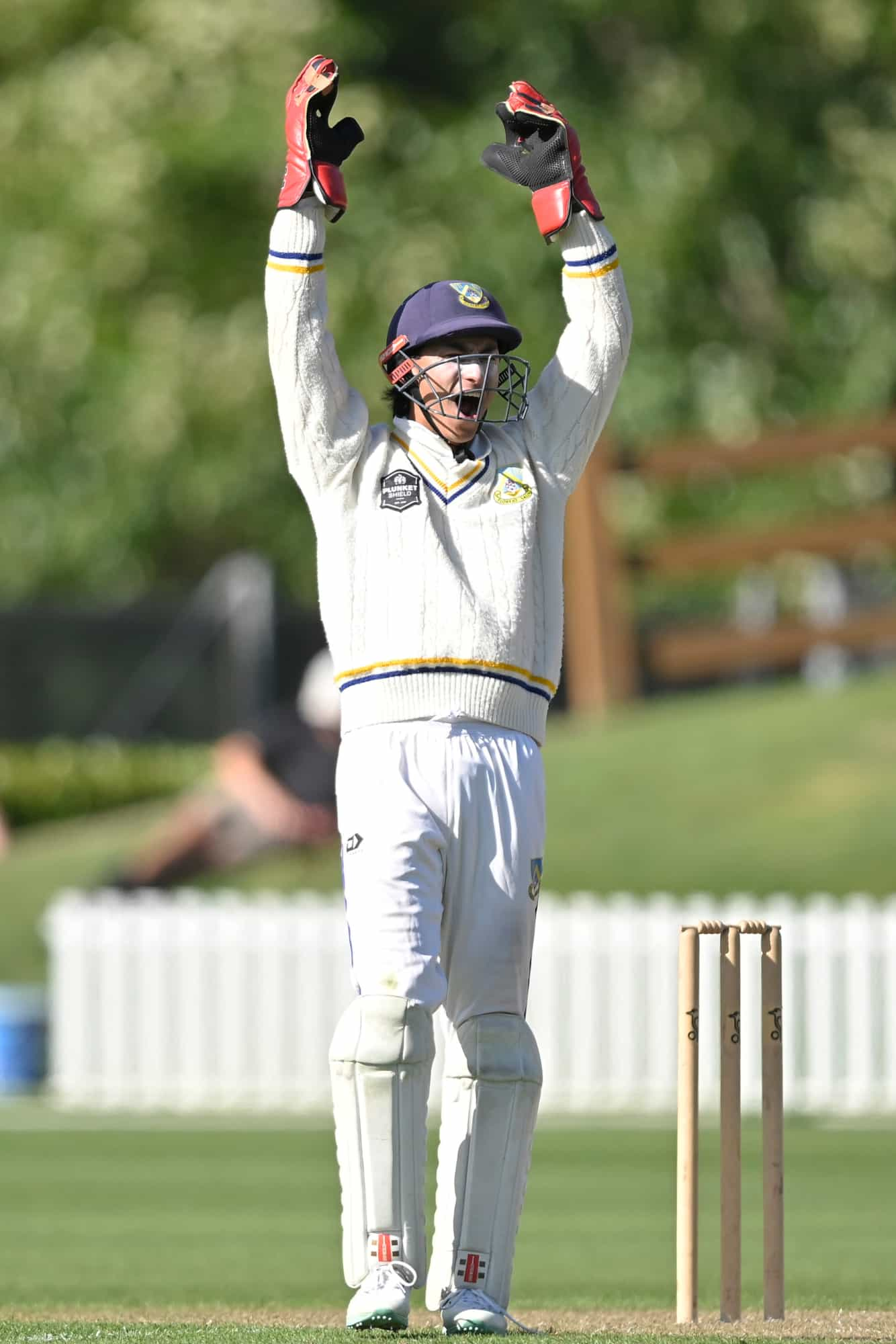 Plunket Shield Cricket - Day 1 - Northern Districts V Canterbury