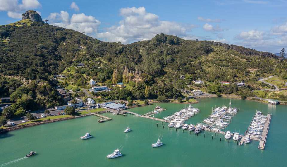 fishing trips whangaroa