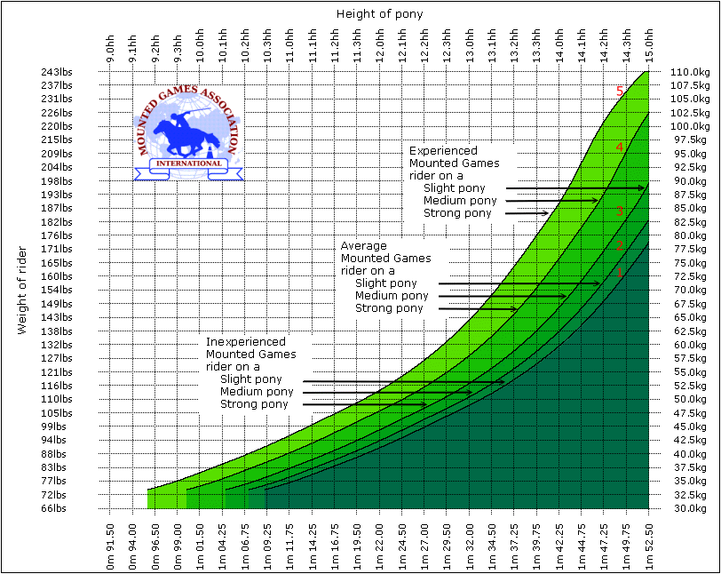 Pony Measurement Chart