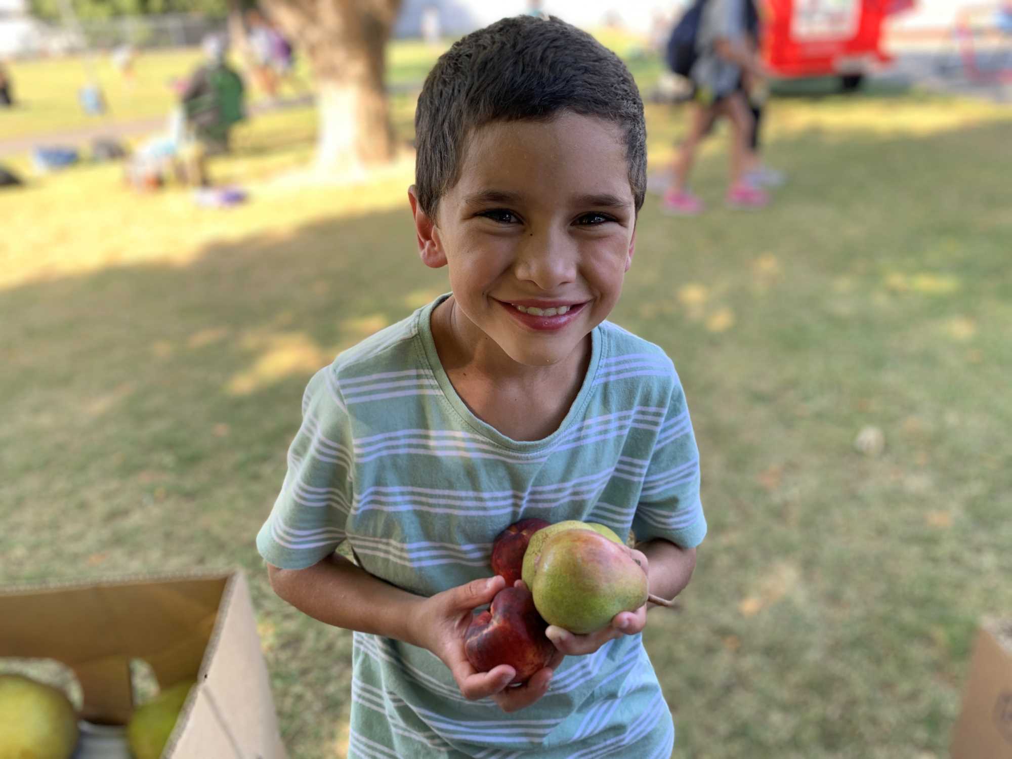 Healthy Active Learning Initiative to Expand to 800 Schools and Kura