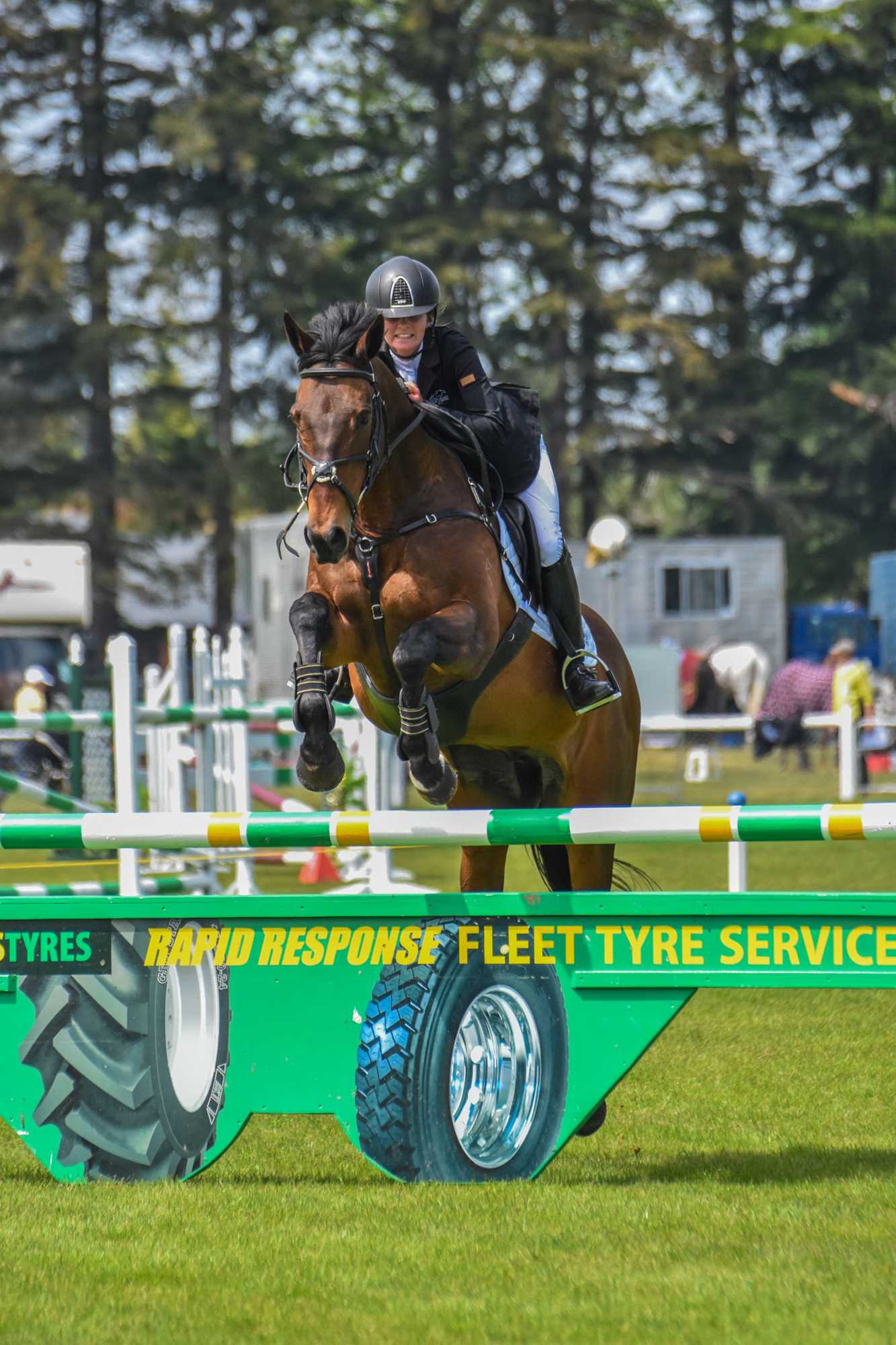 Ashburton AREA ESNZ Show Jumping Show Hunter Group Home