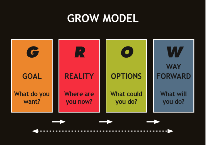 Doesn t grow. Модель grow. Обучающая модель grow. Grow коучинг. Модель grow вопросы.