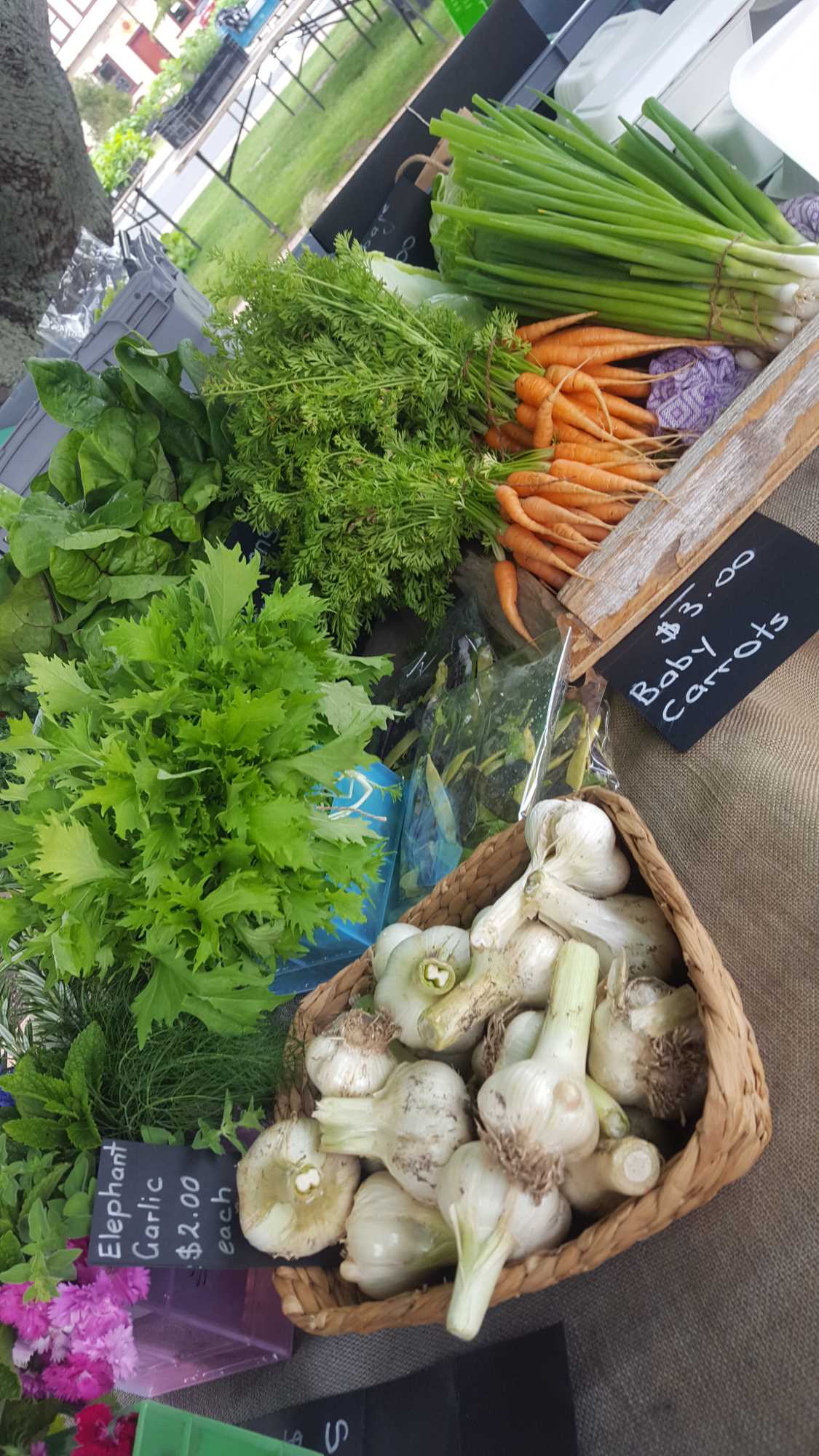 Feilding Farmers Market - Home