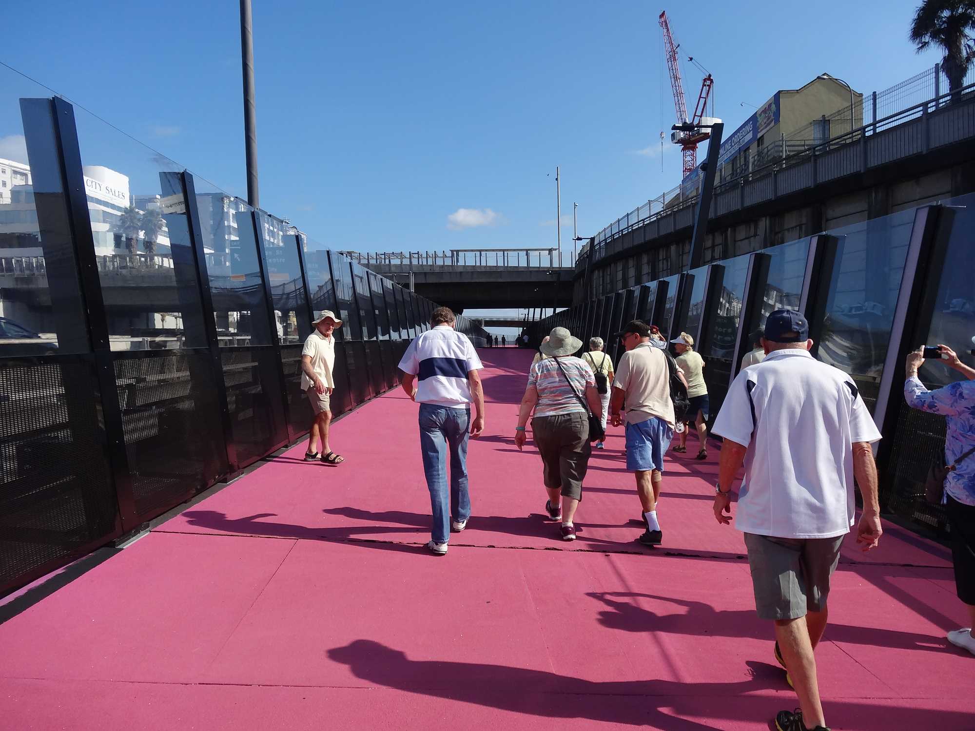 February 2016 walking Auckland's pink path