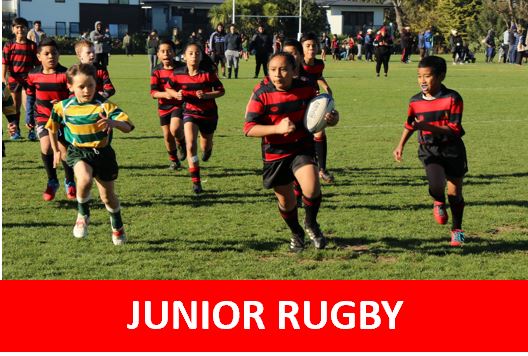 Otahuhu Rugby Football Club - Home