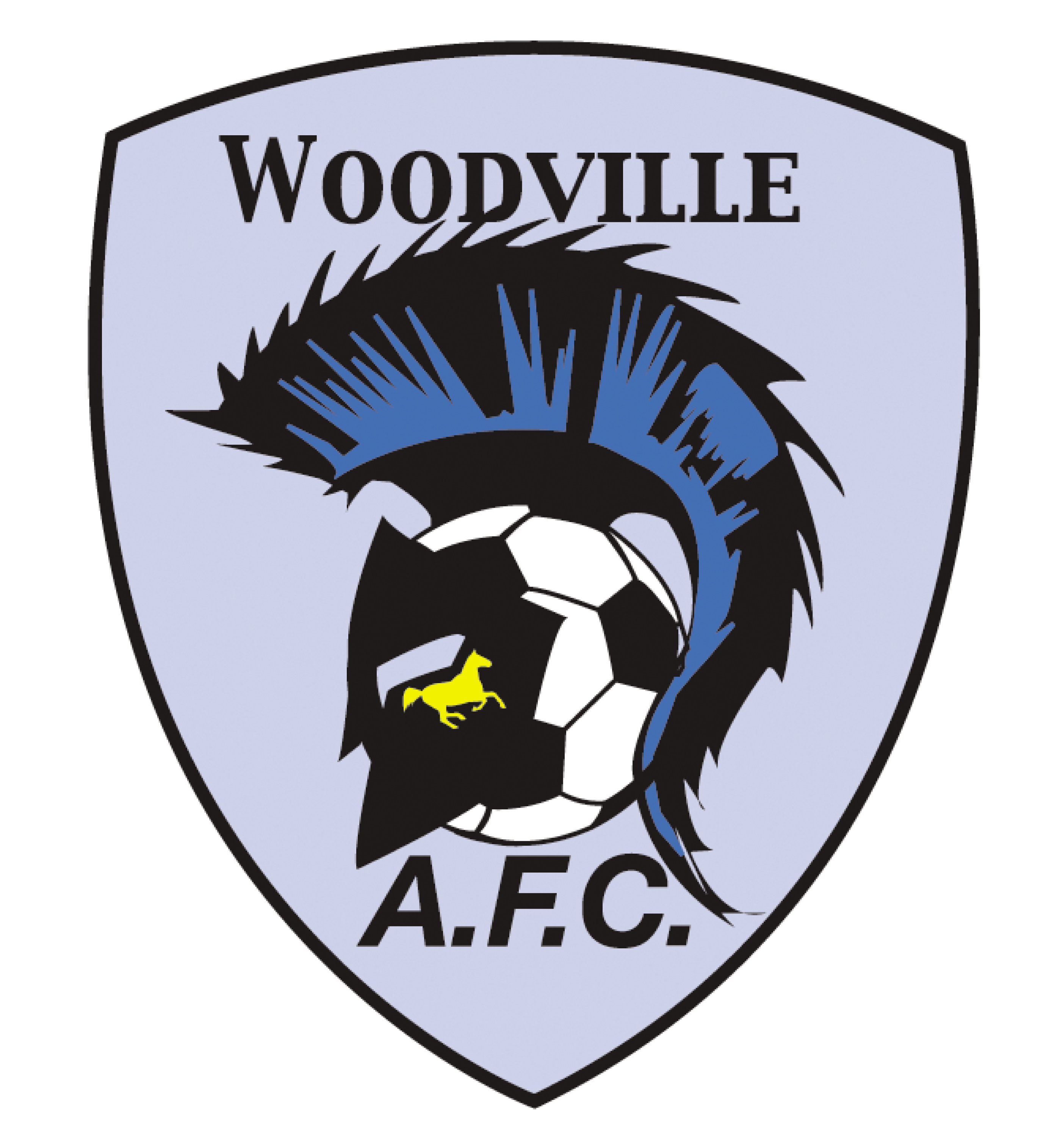 Woodville Association Football Club - Tab 1