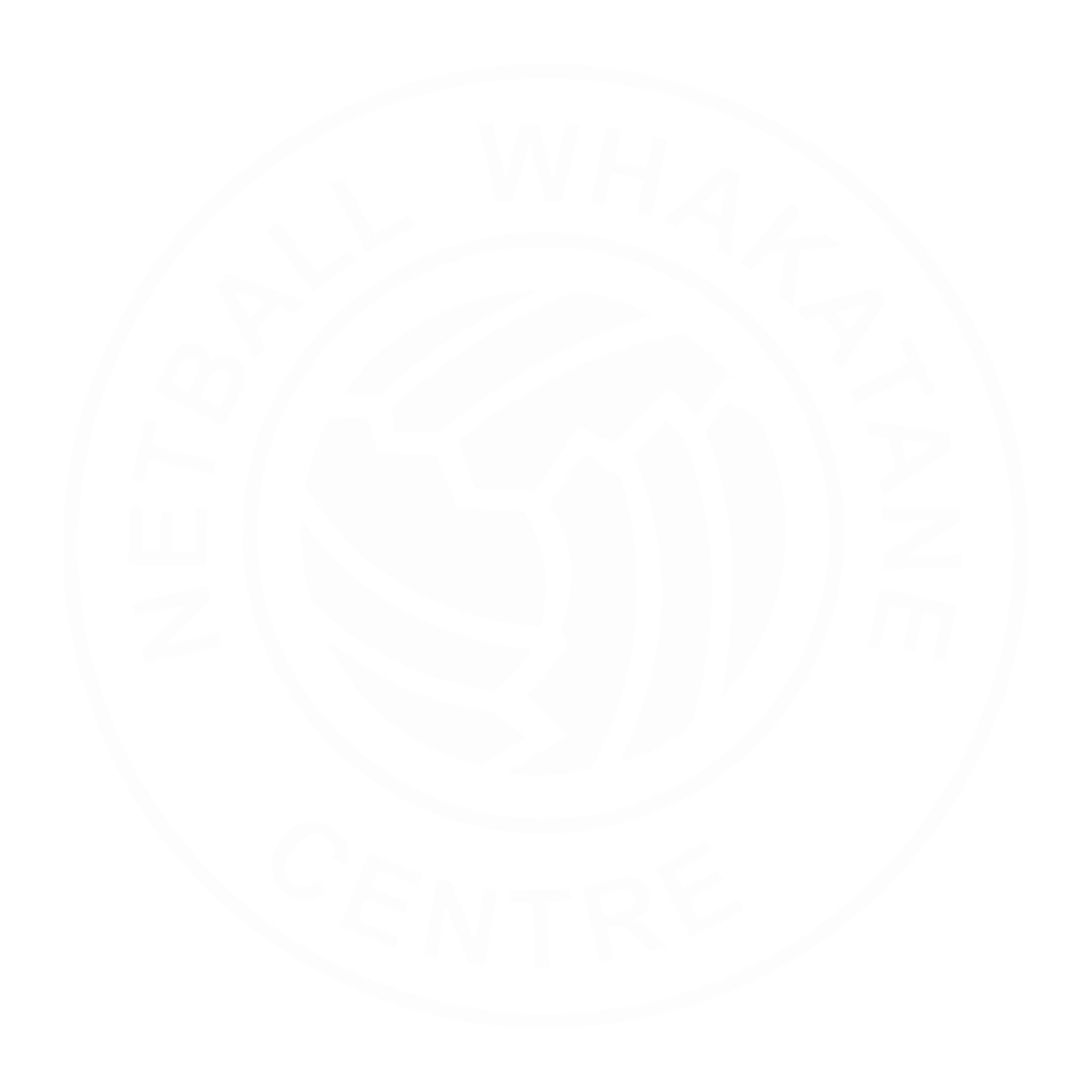 netball-whakatane-centre-home