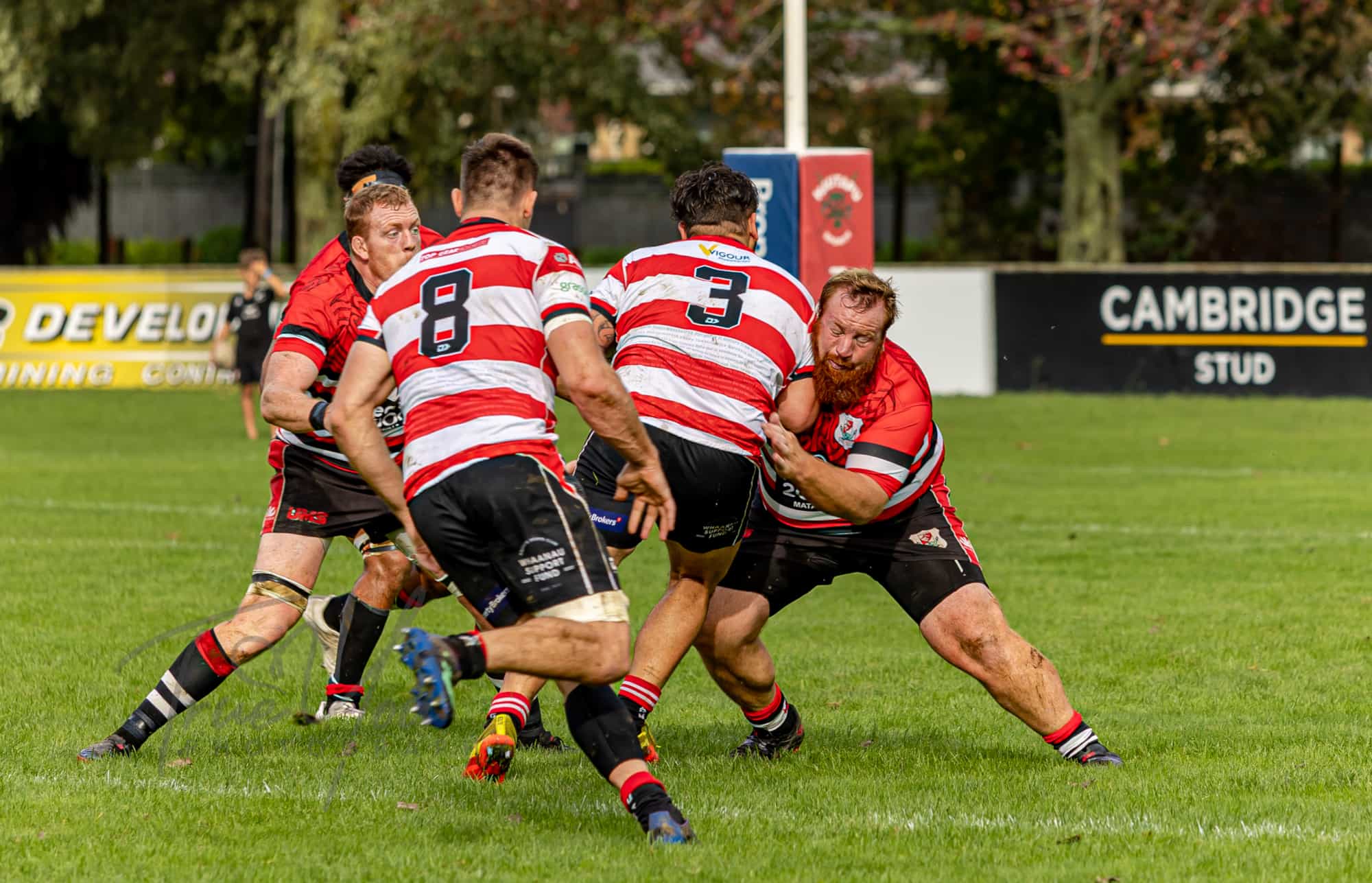 Club Rugby Preview