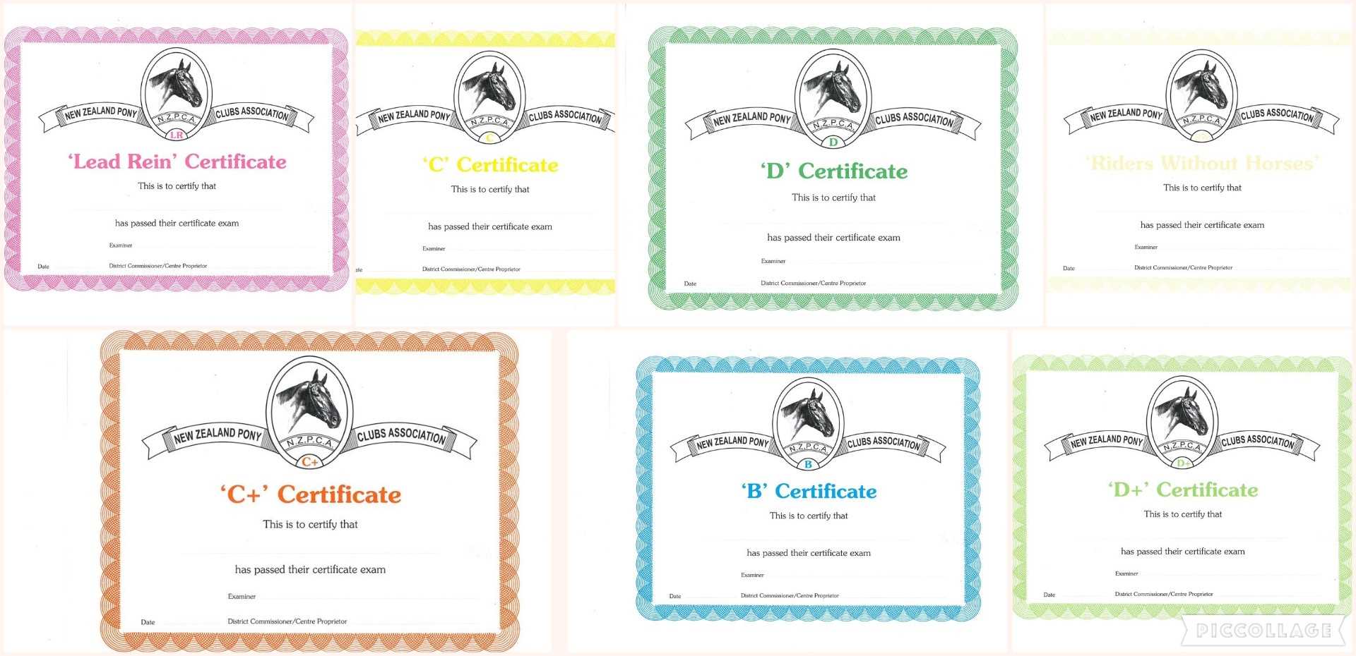 Waikato Area Pony Club What are Pony Club Certificates?