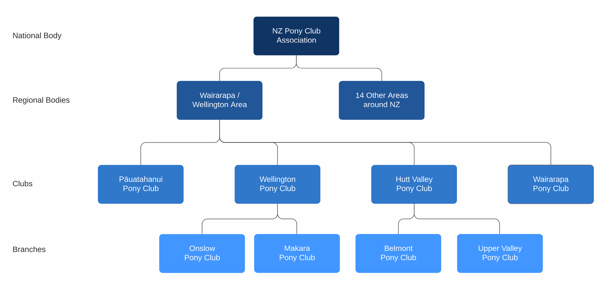 Pauatahanui Pony Club - Club Structure